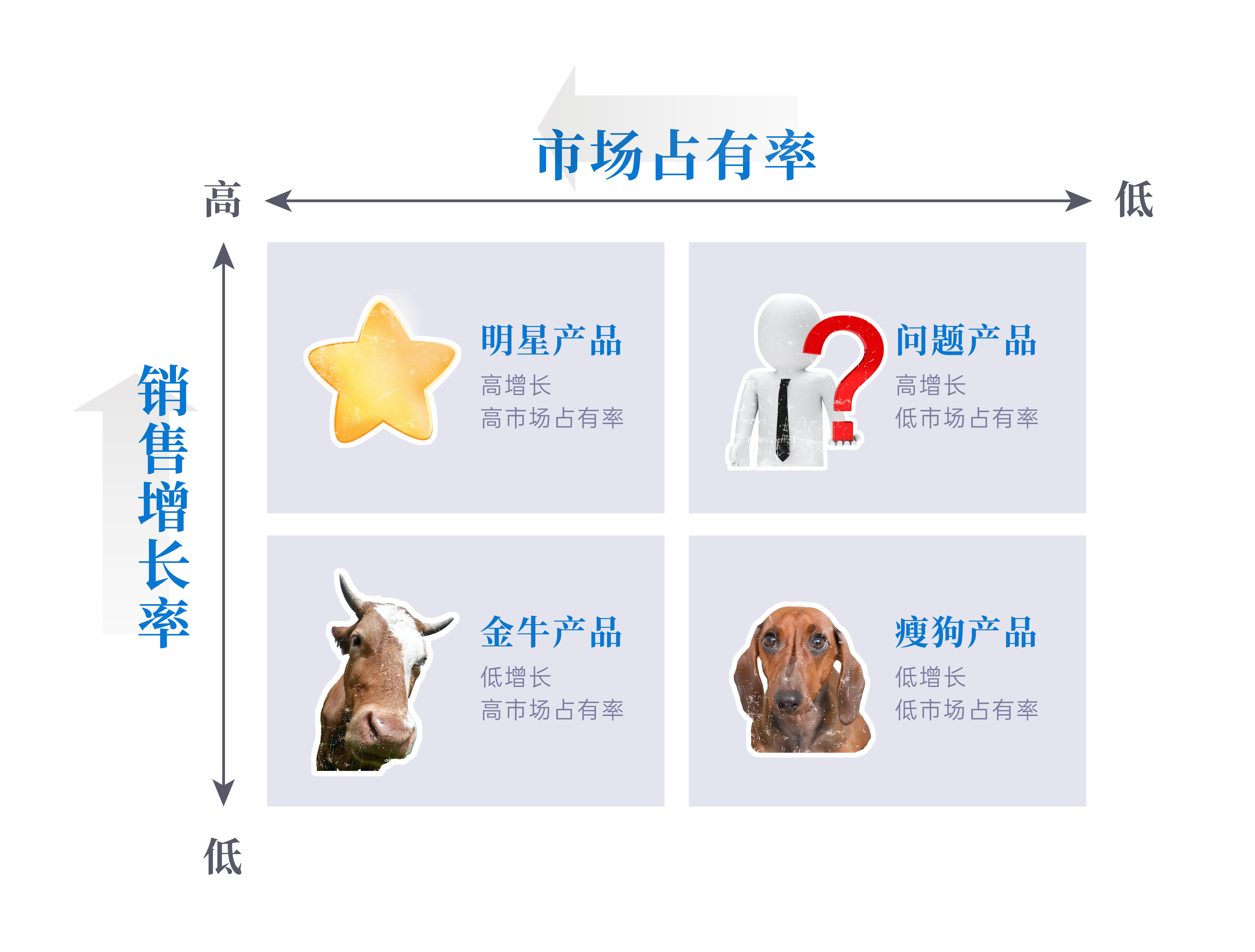 小团队 IPD 波士顿矩阵