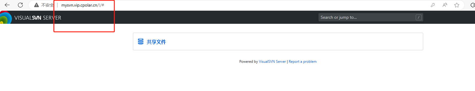 如何在Windows系统搭建VisualSVN服务并在公网远程访问【内网穿透】