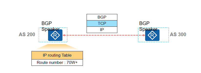 BGP能够支撑更多的路由表项