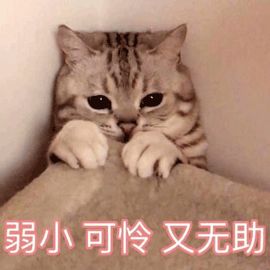 66c71a4746ba8803ba5bb2327526f223.png