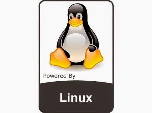 Dio 上传文件报错 Linux Kernel 5 10改进ext4文件系统 随机覆盖性能提升10倍 Weixin 的博客 Csdn博客