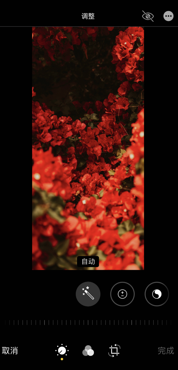 671928bb72aa72e9b3dc556edd6b79ed.png