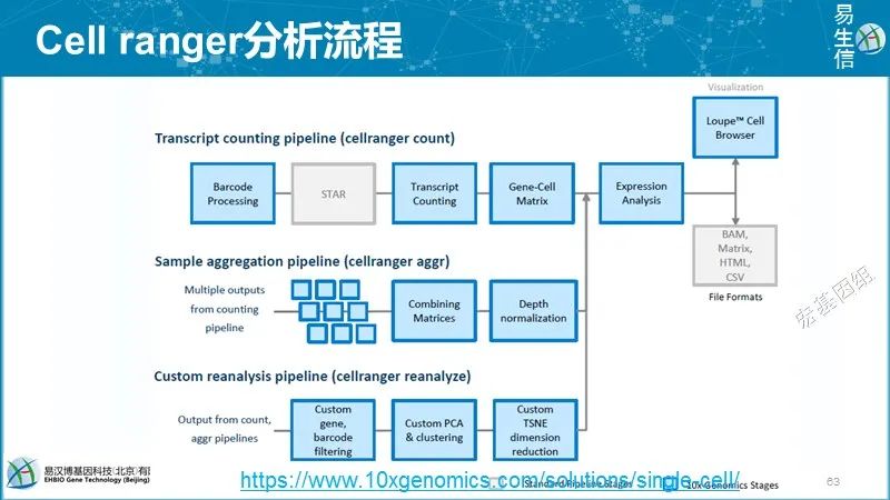 液滴型单细胞测序技术比较(二)-CSDN博客