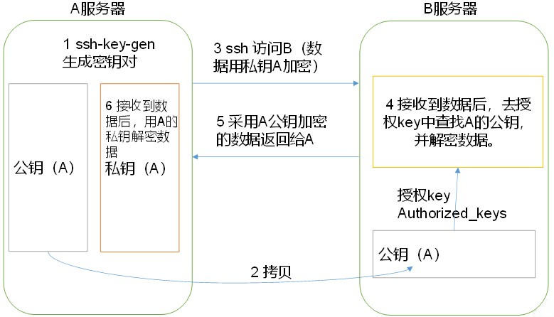 免密登陆原理