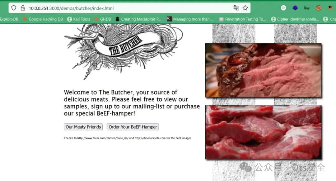 如何使用 BeEF 黑客工具（非常详细），零基础入门到精通，看这一篇就够了_beef使用教程-CSDN博客