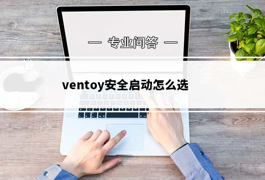 ventoy安全启动怎么选