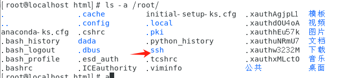 image-20241106161210291