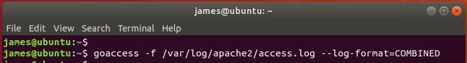 Goaccess-Apache2-logs-Combined