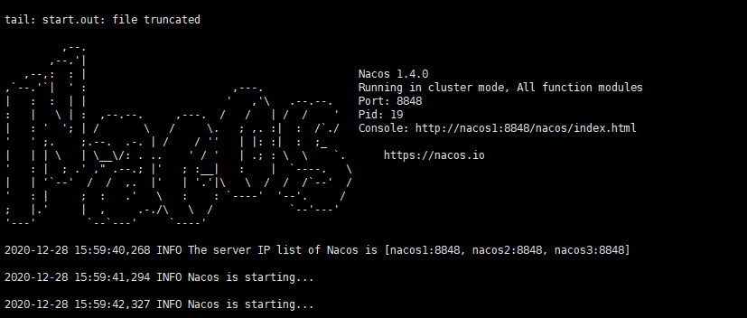 image-20201228170830404