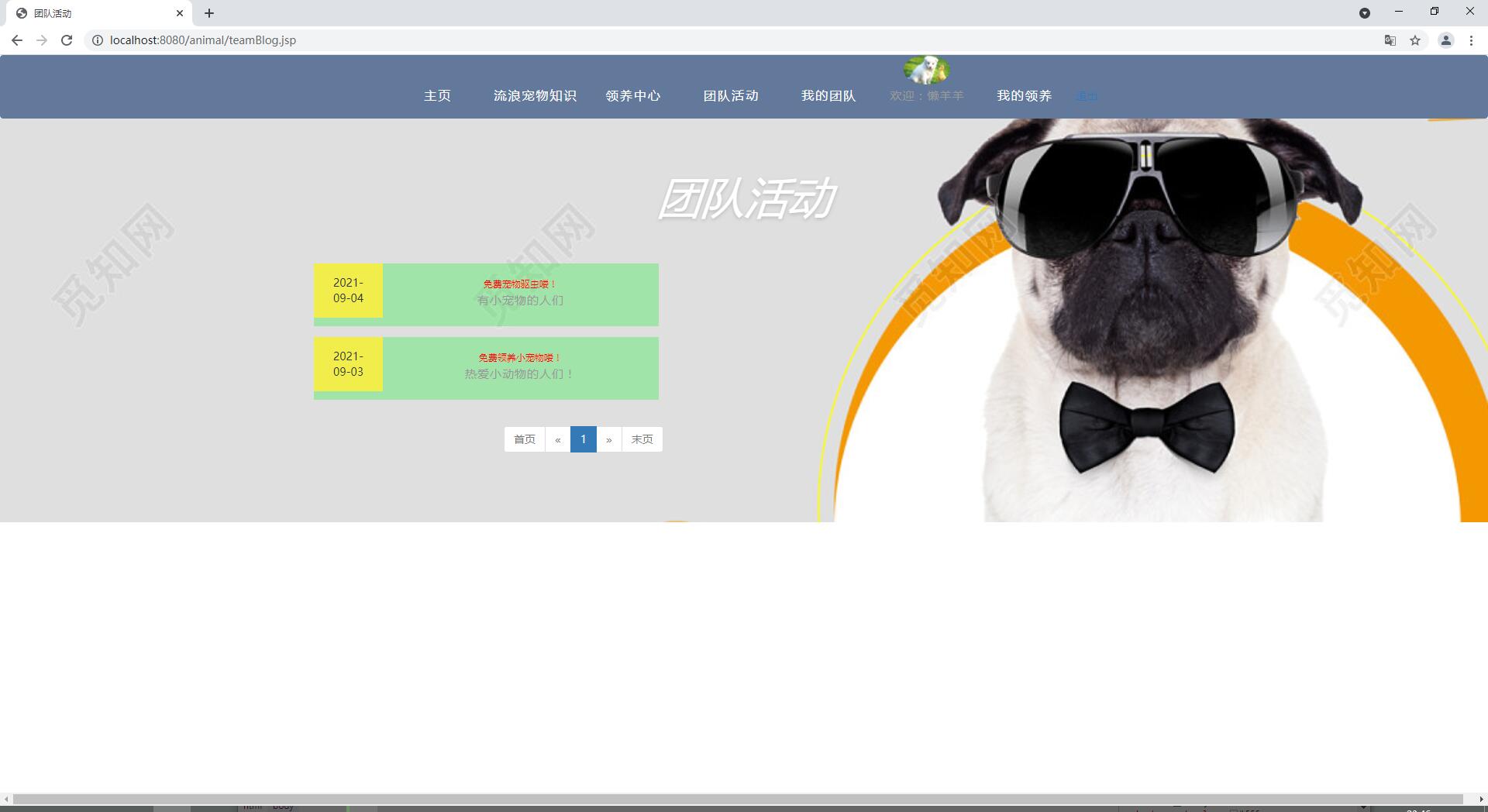 SSM+JSP+MYSQL实现的宠物领养收养管理系统-CSDN博客