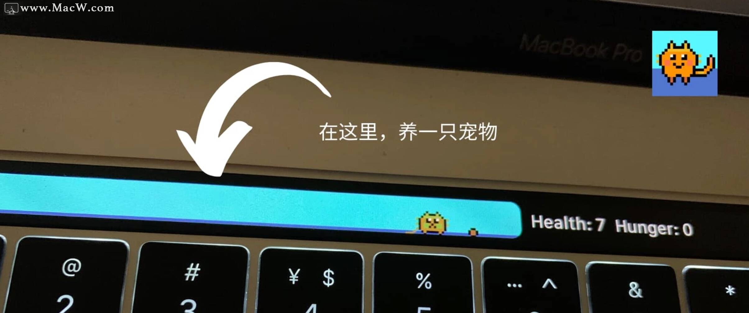 macbook pro怎么养小宠物?macbook pro养宠物设置方法_如何在电脑养宠物CSDN博客