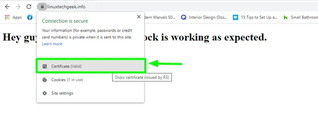 Show-SSL-Certificate-Web-Page