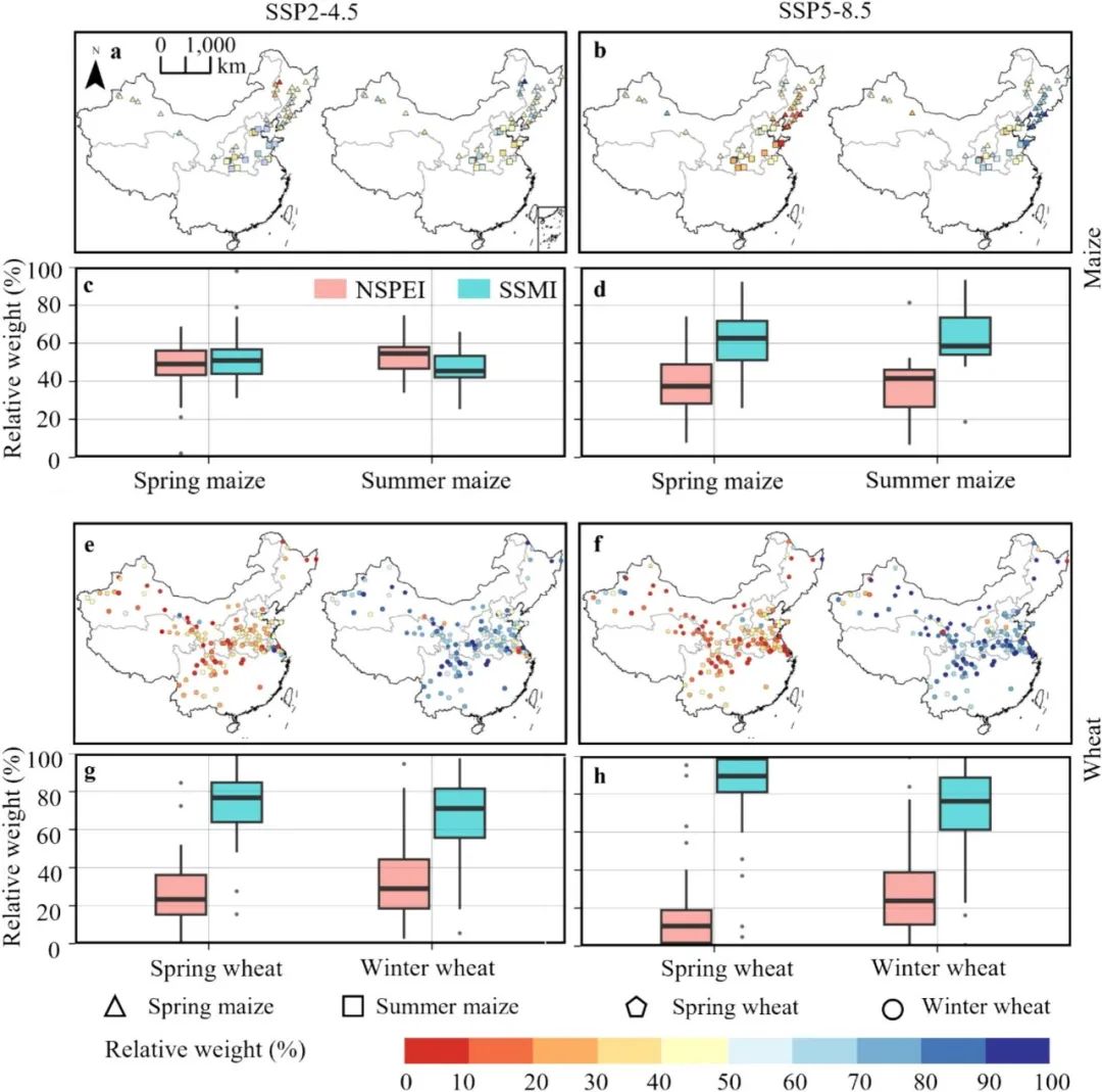 西北农林科技大学李毅研究员等人在农学顶刊Agric. Syst.发文：持续的干旱威胁着小麦和玉米生产，并将在未来扩大作物产量差