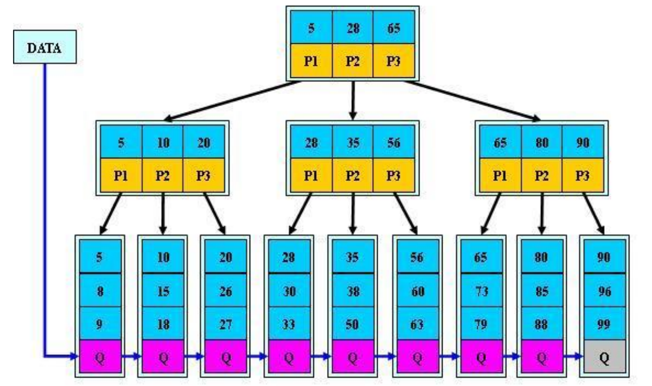 B-TREE(B-树)