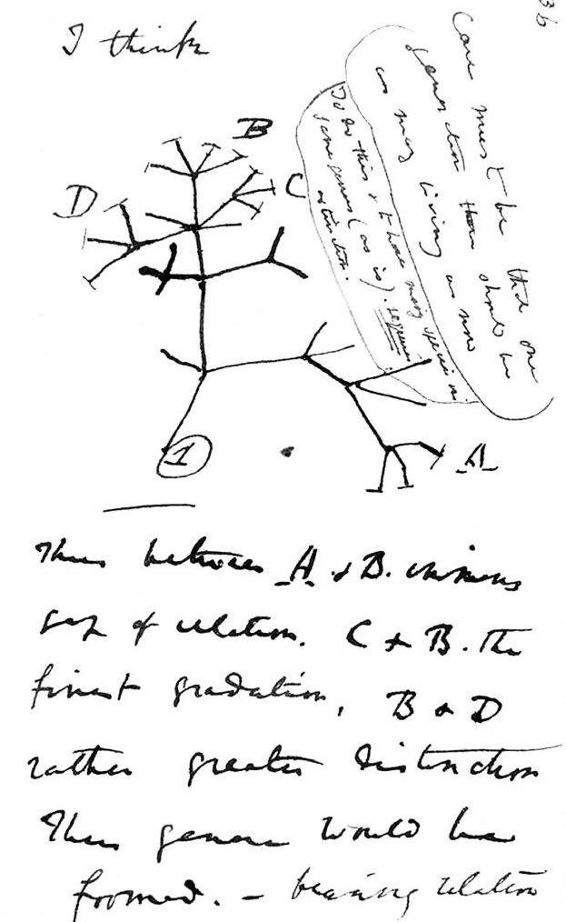 689a3487a91642711021f9f6a909d0ae.png
