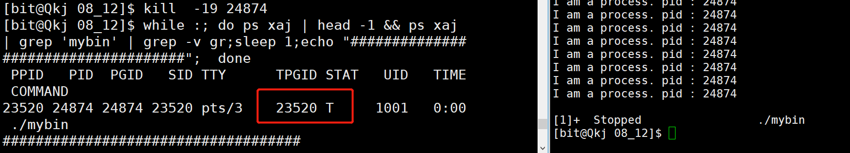 image-20220812094536401