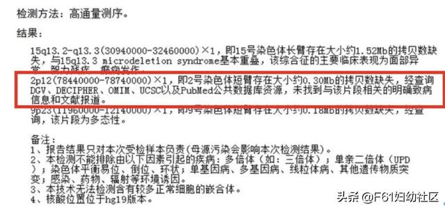 结果解读染色体cnv检测结果解读