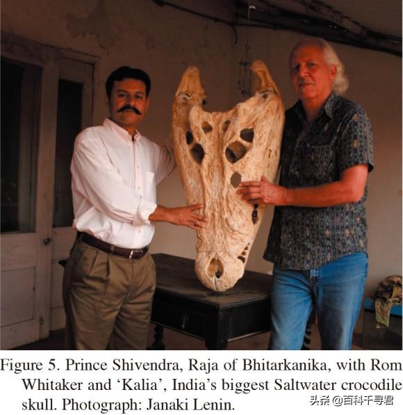 linq查出一条最大的记录洛龙是最大的湾鳄吗当然不是比它更大的至少