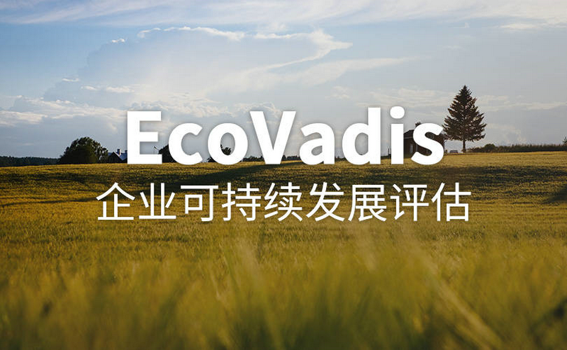 leverage供应链浅谈Ecovadis与企业发展的作用及利弊