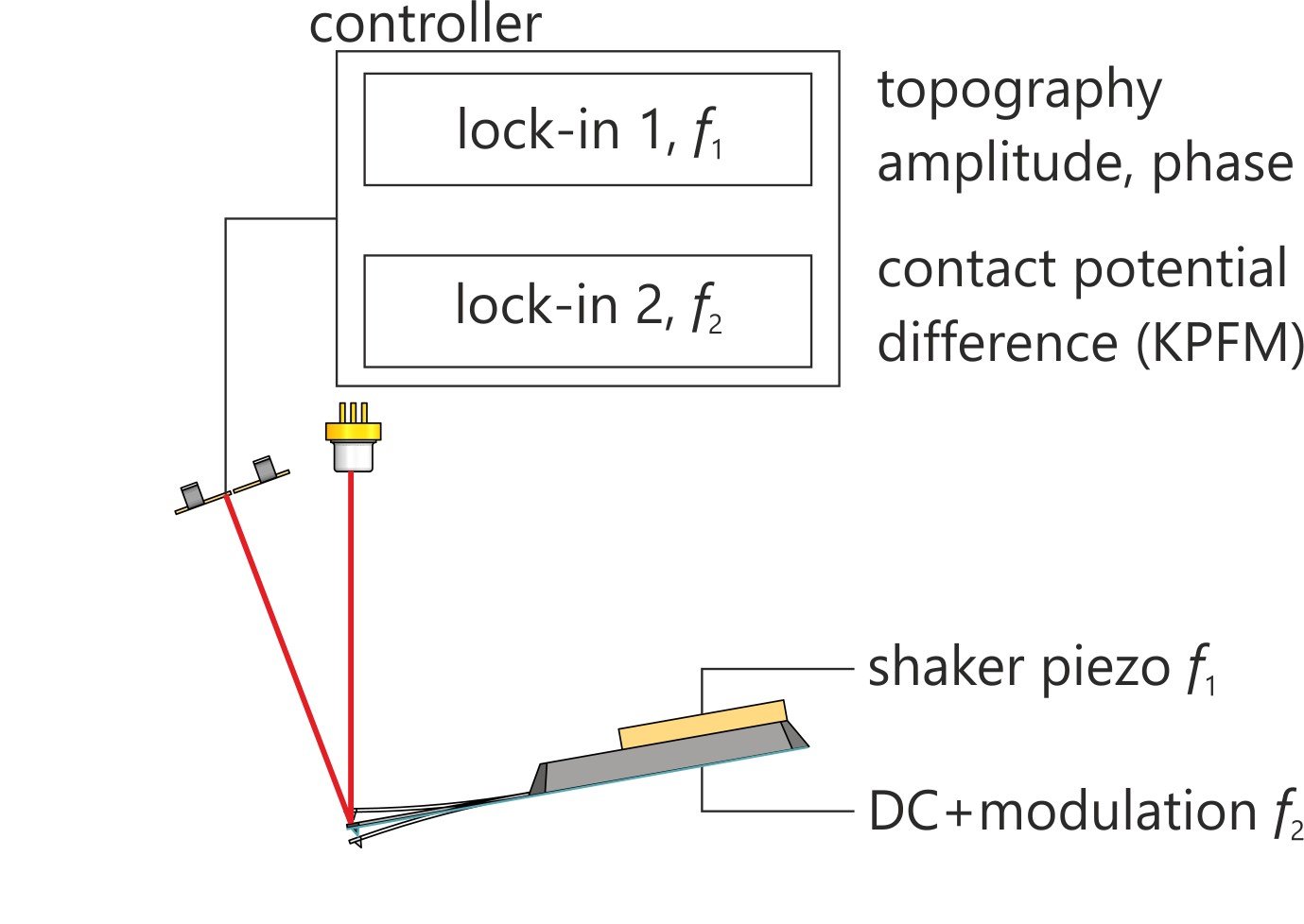 ▲ 图1.1  Schematic of KPFM