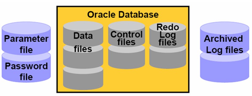 oracle database(oracle数据库)通过linux命令ps –ef可以查看oracle