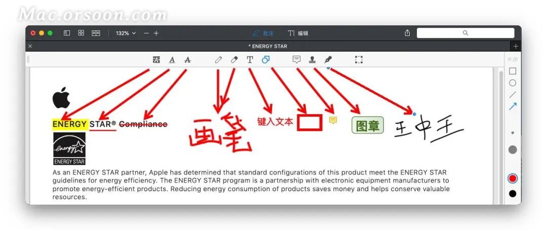 pdf expert for mac not working