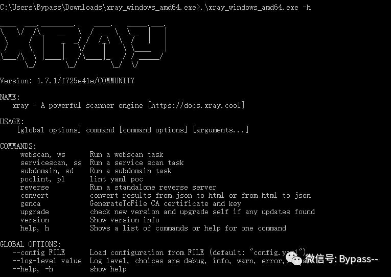 常用Web安全扫描工具合集