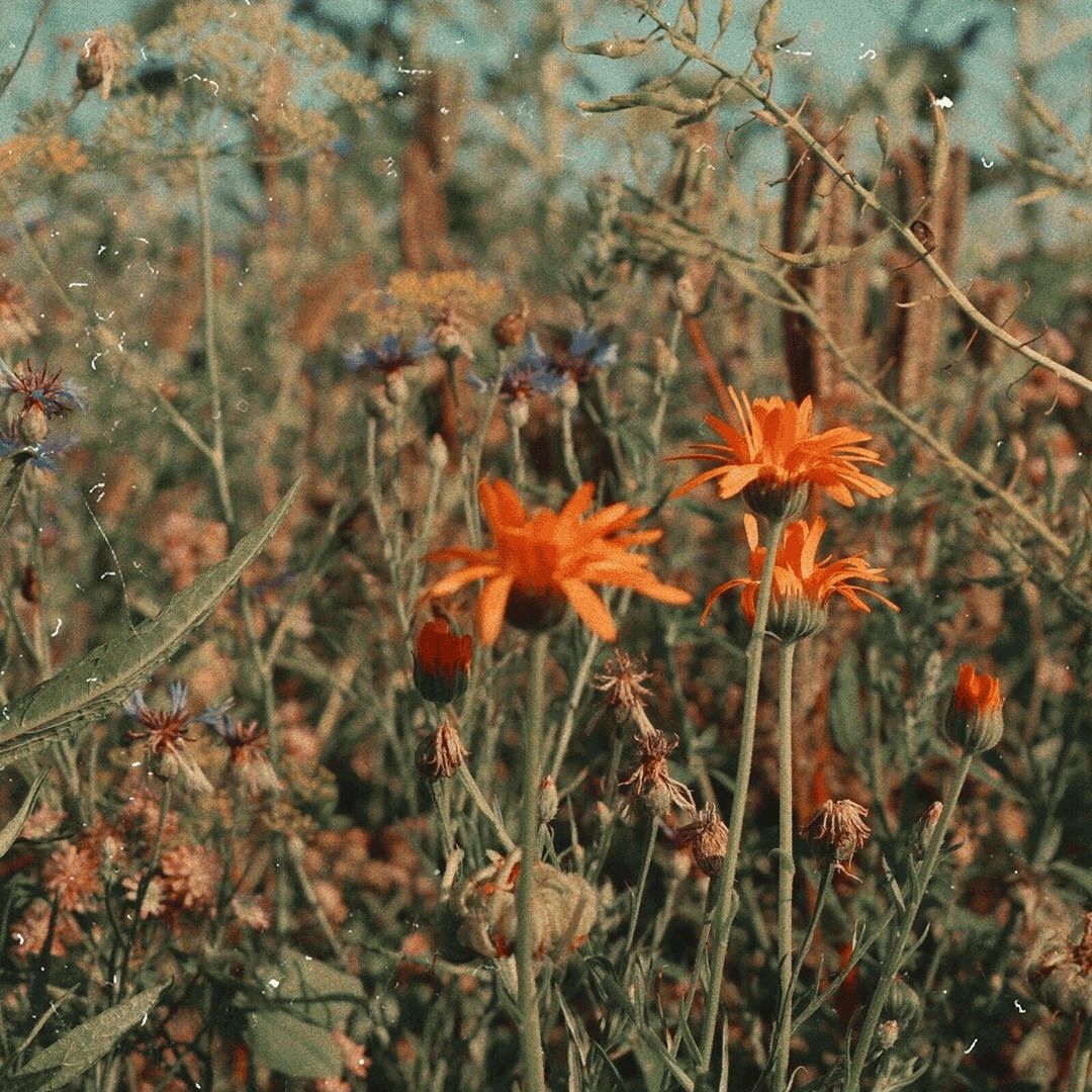 头像复古ins头像复古头像背景图