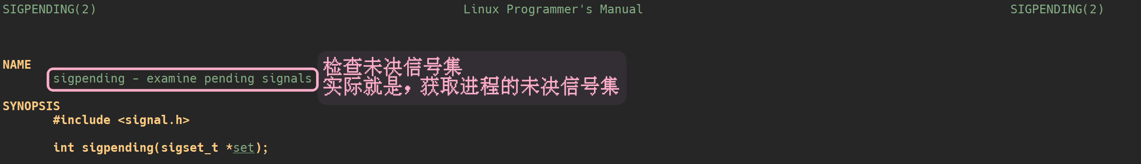 image-20230406094527802