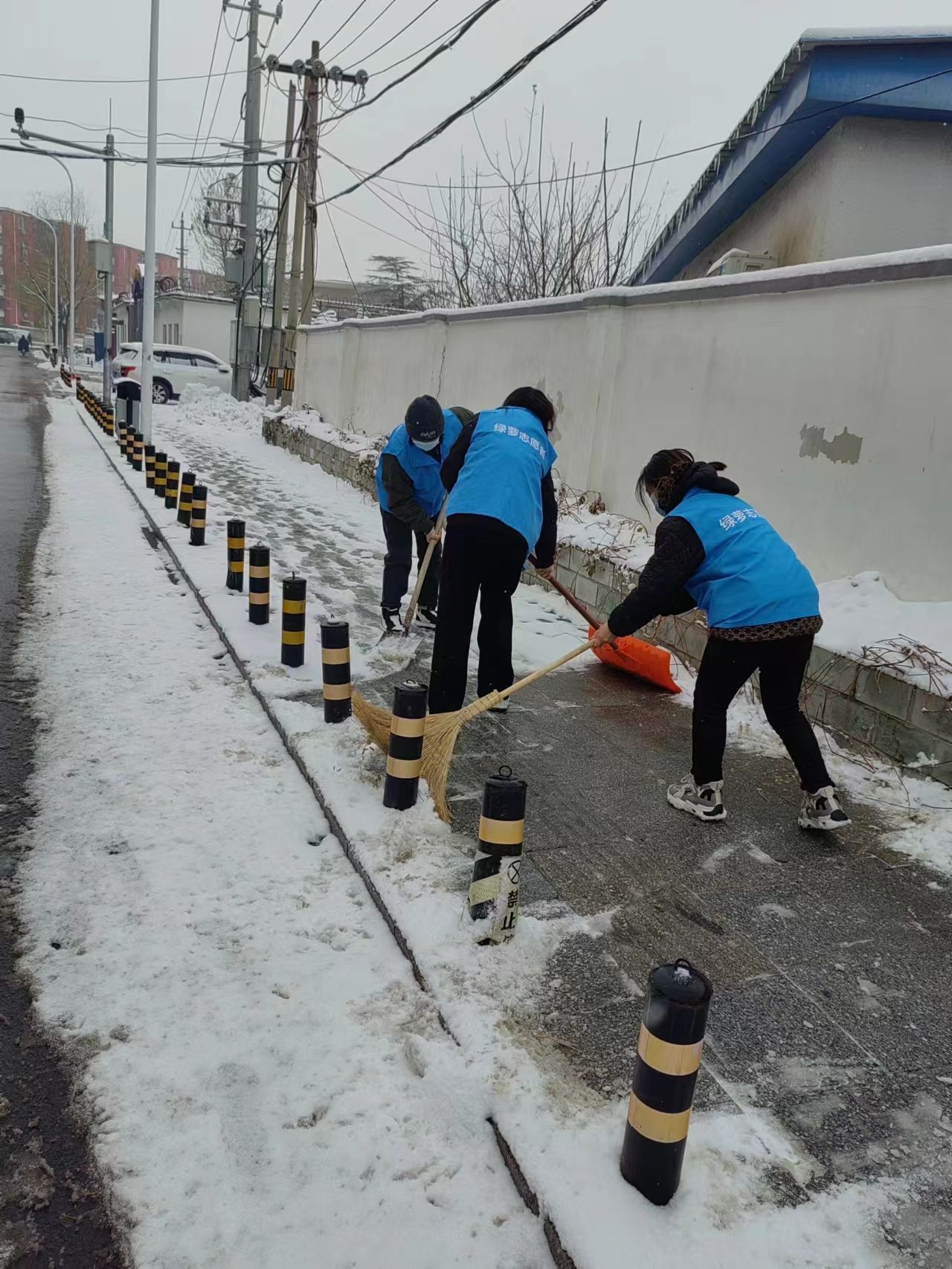 绿萝送温暖，扫雪助出行