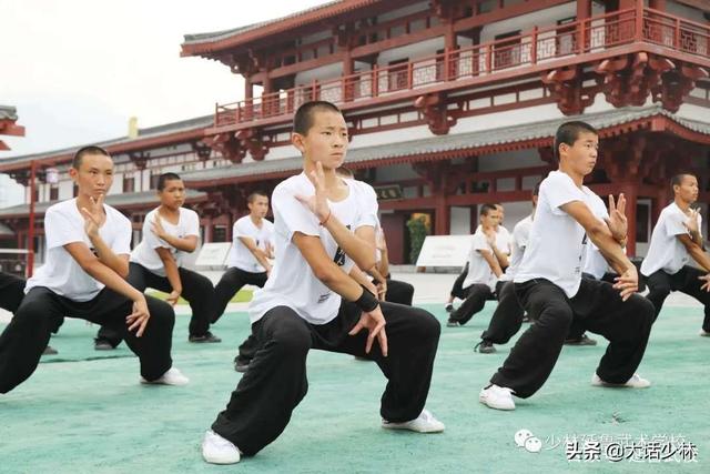 越武武术（越武道在中国） 越武武术（越武道在中国）《越武道视频》 武术资讯