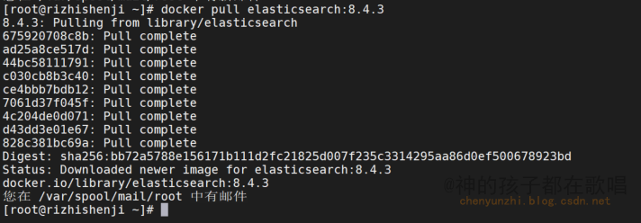 使用 Docker 安装 Elasticsearch 8.4.3