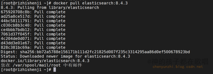 使用 <span style='color:red;'>Docker</span> <span style='color:red;'>安装</span> <span style='color:red;'>Elasticsearch</span> <span style='color:red;'>8</span>.4.3