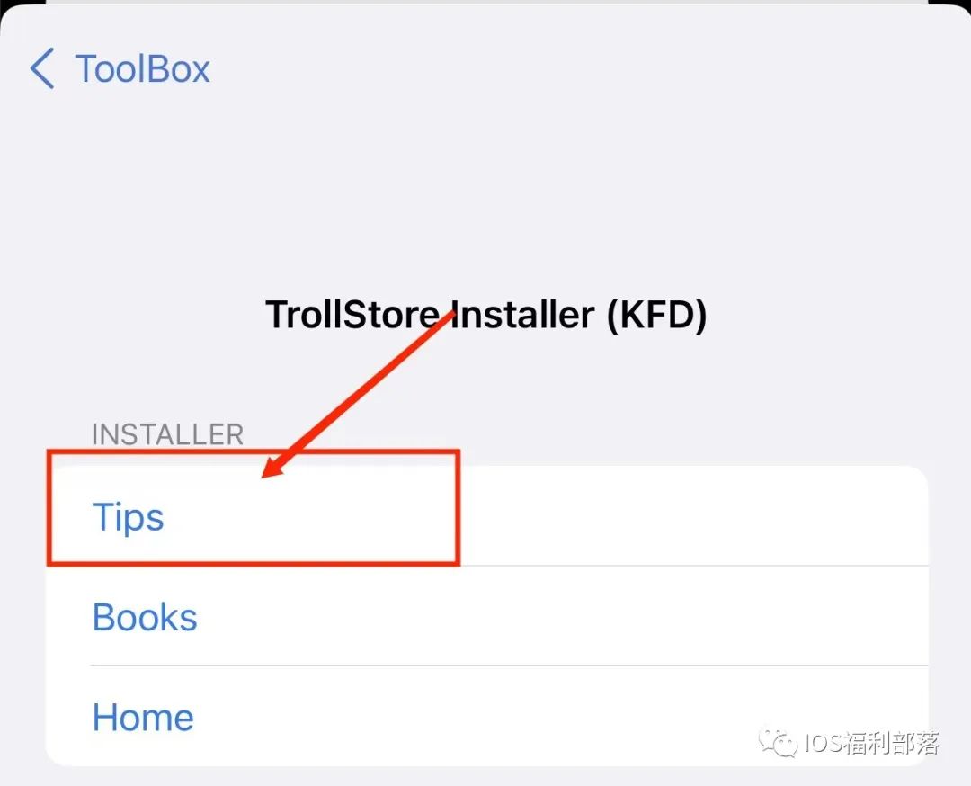《TrollStore巨魔商店》TrollStore2安装使用教程_巨魔商店2-CSDN博客
