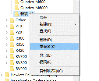 重命名项名称为之前复制的显卡名称