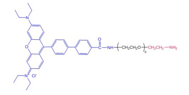 Rhodamine-PEG-NH2，罗丹明-聚乙二醇-氨基的结构式，一文了解RB-PEG-NH2的使用