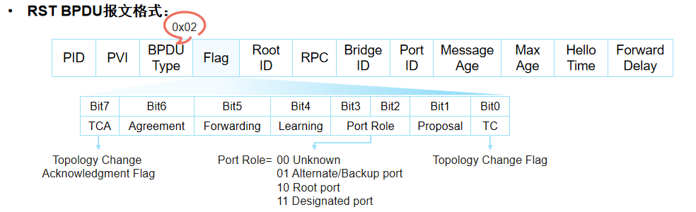 RSTP BPPDU报文