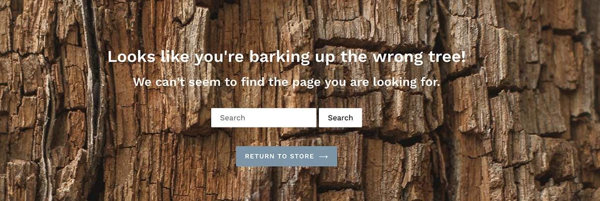 Shopify 如何为您的客户打造最佳 404 页面