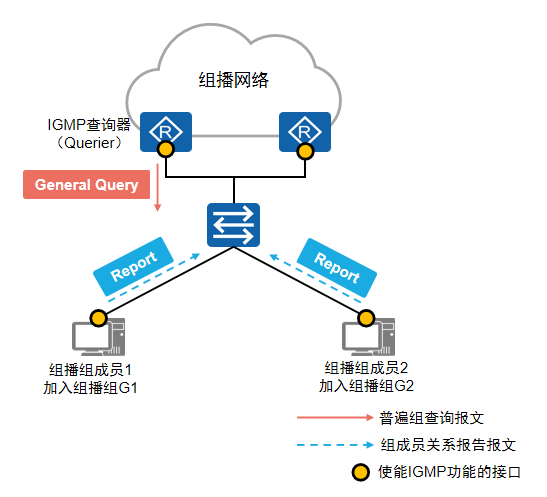 IGMP查询器