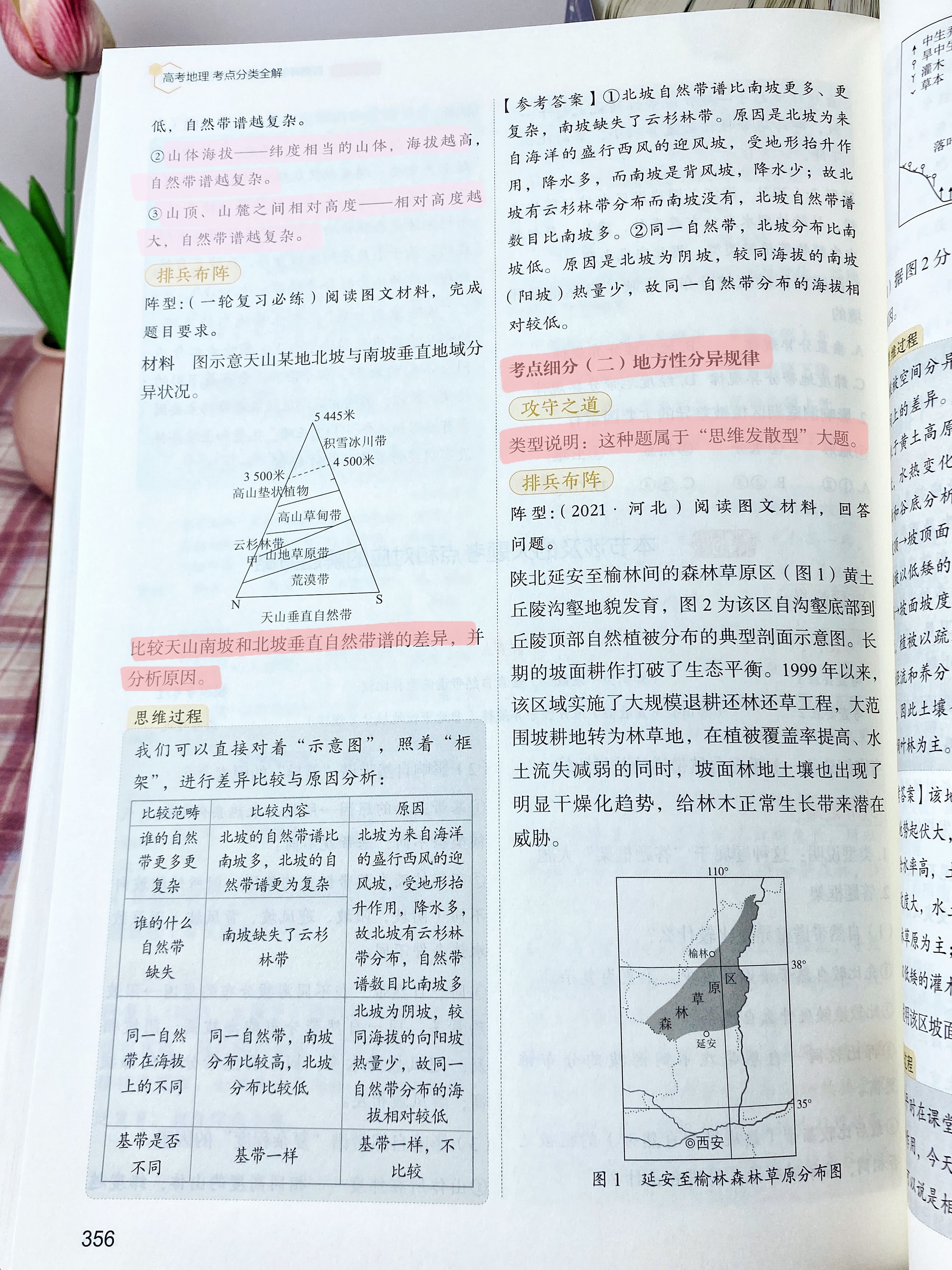 6bac7dad44a4a036914c817c08efd13b.jpeg