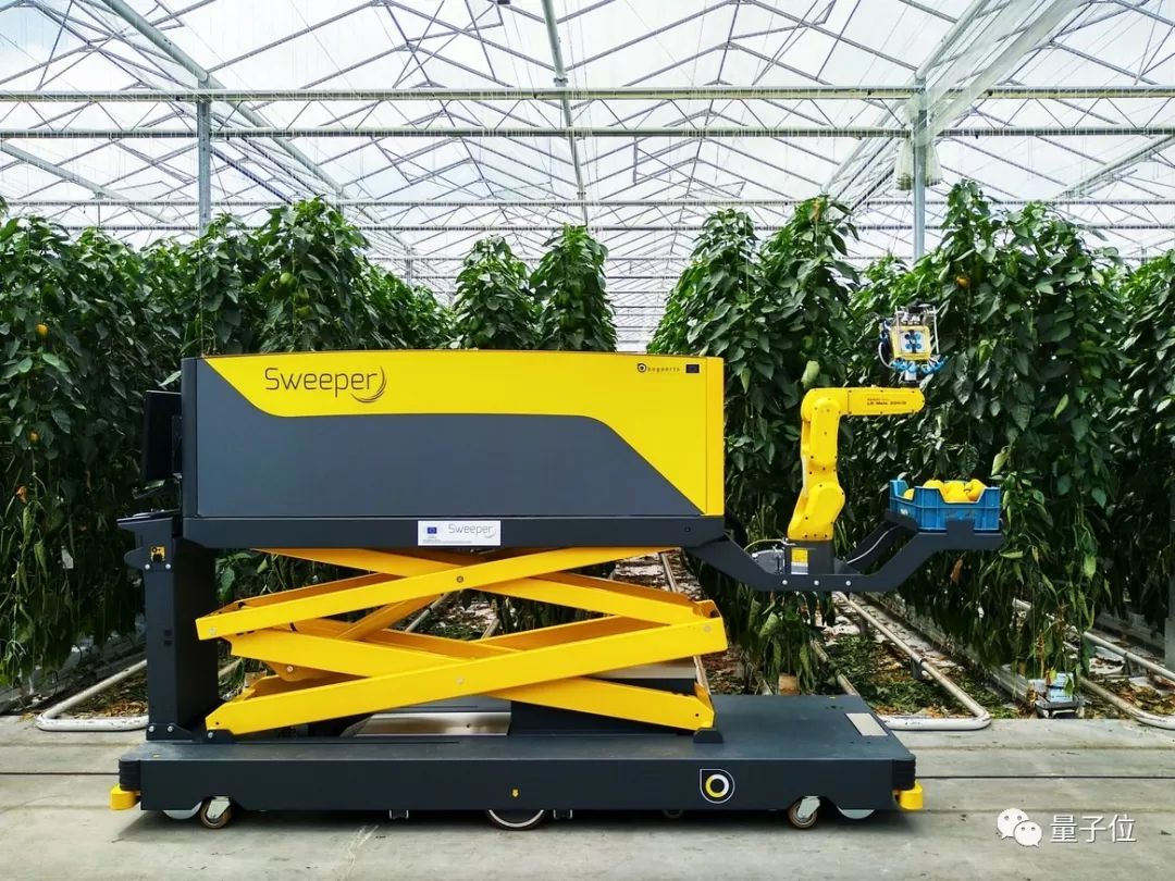 因为这个机器人,真的是用脸来摘辣椒,不过是.水果椒.