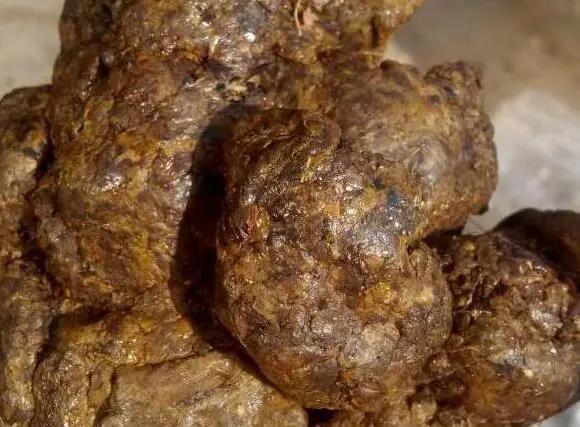 虚拟机没关能直接关机吗新出的蜂胶能吃吗从蜂巢取的蜂胶能直接吃吗