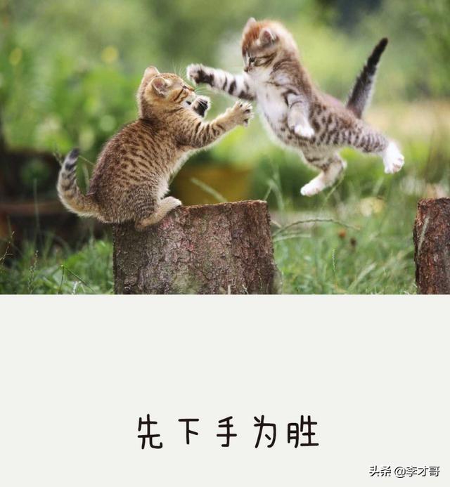 6c470f976301885ba99e8e78b0b67e41.png