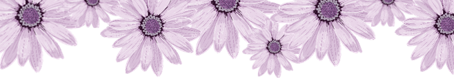6c6c909d993dd0814172a2545608570d.png