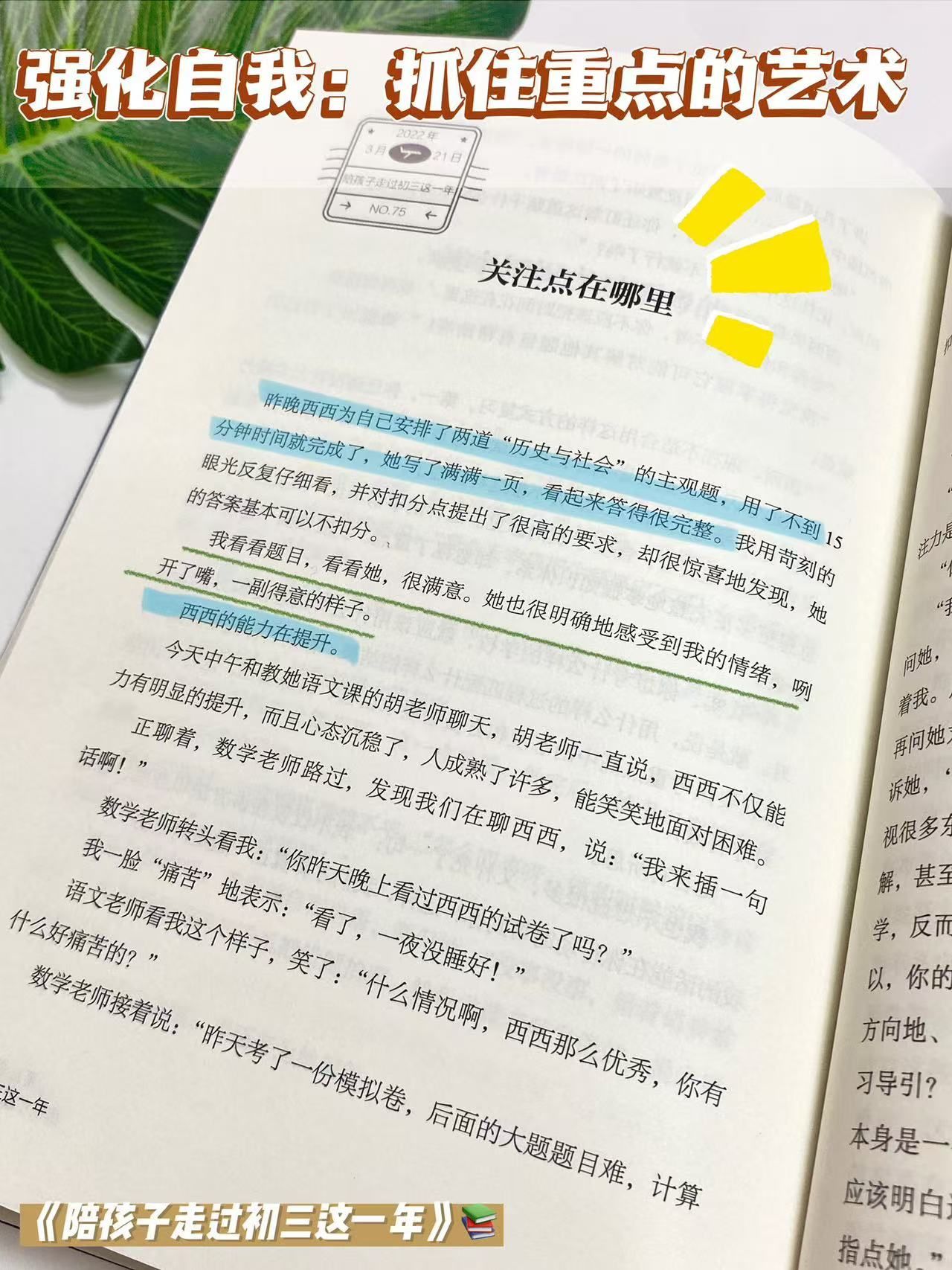 6c6e66cffccad895cd13f2d85d777332.jpeg