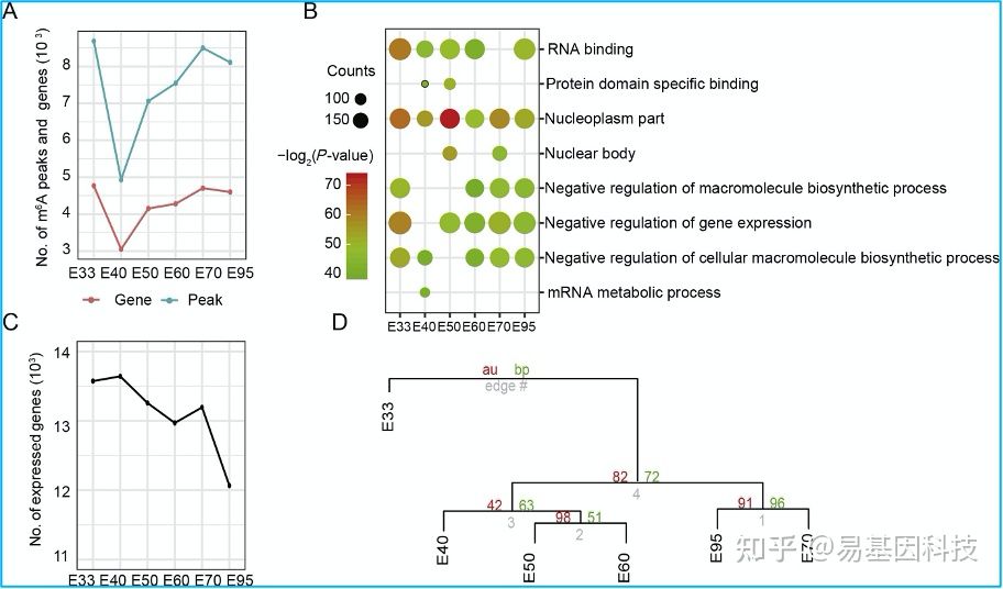 易基因｜RNA m6A甲基化测序(MeRIP-seq)技术介绍