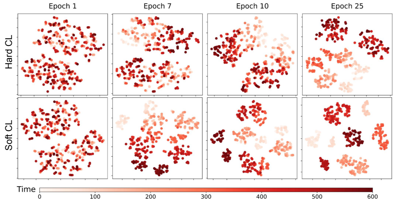 SoftCLT: 时间序列的软对比学习《Soft Contrastive Learning for Time Series》(时间序列、时序分类任务、软...