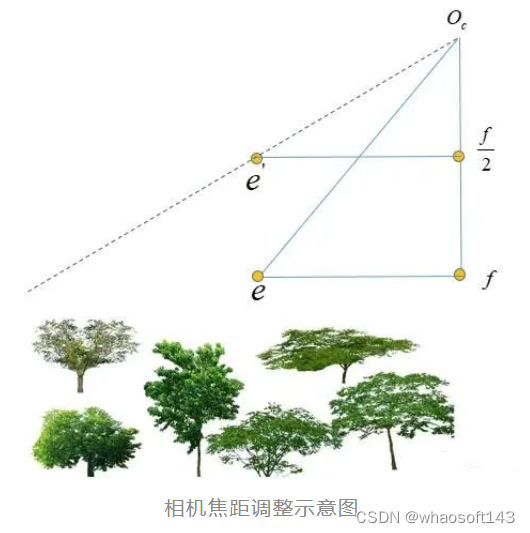 鱼眼相机去畸变_fish_20