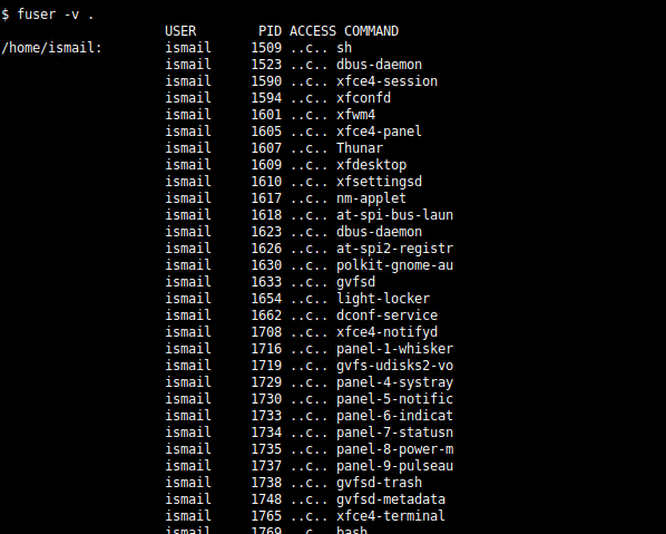 View Processes Using A Directory