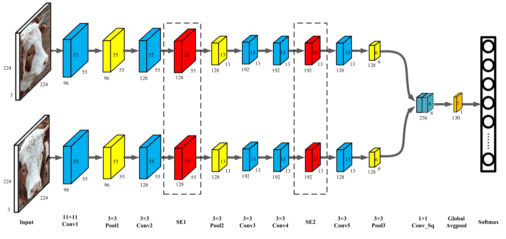 Cattle Face Recognition Based On A Two-Branch Convolutionalneural ...